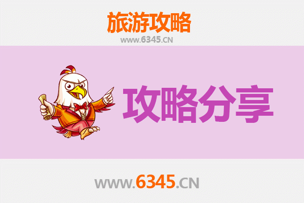 晋中灵石至湄洲岛旅游攻略：跟团与自由行深度对比